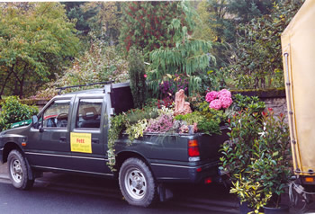 Firmenauto mit Pflanzen
